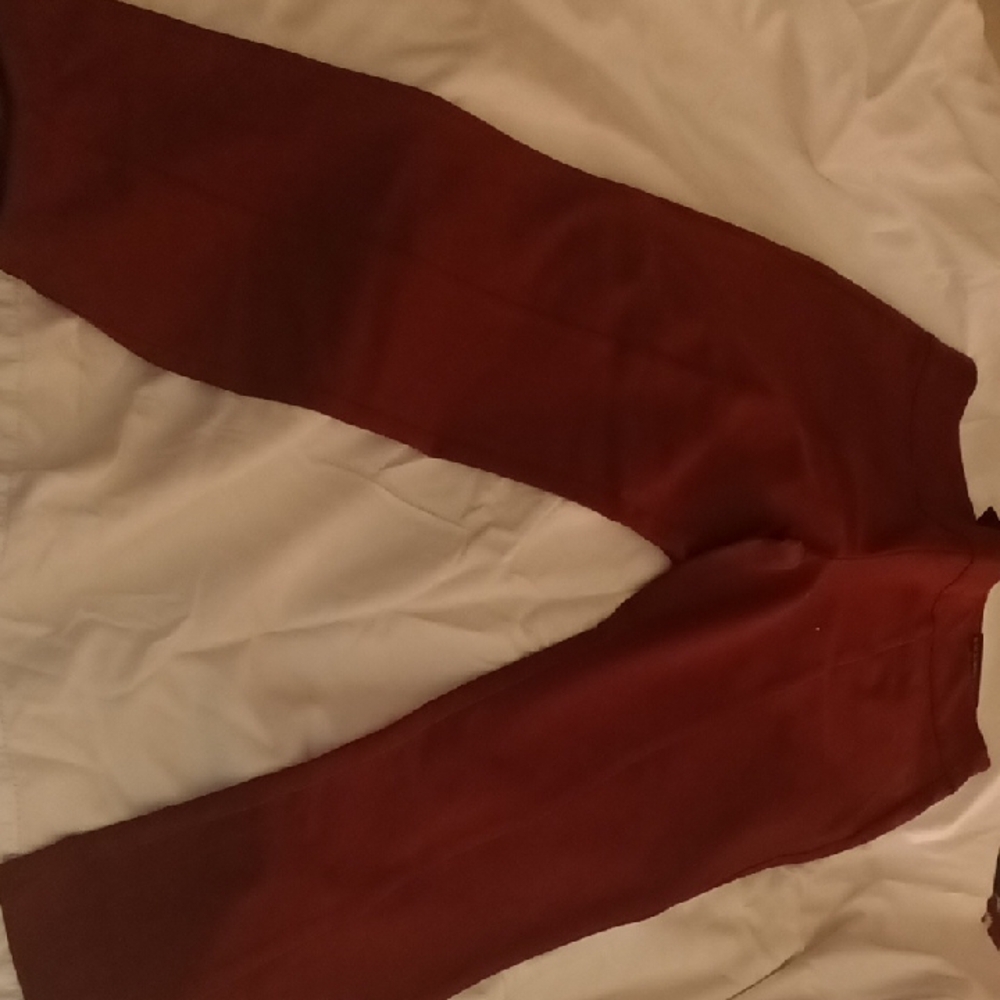 Stylish Burgundy Pants